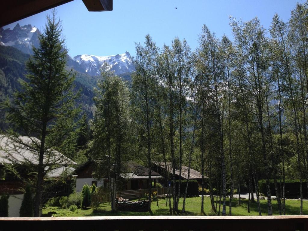 Chalet Champraz - Free Parking Шамоні Екстер'єр фото